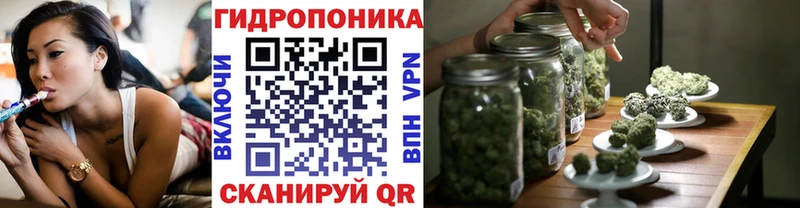 Каннабис ГИДРОПОН  Купить закладки  Приволжский 